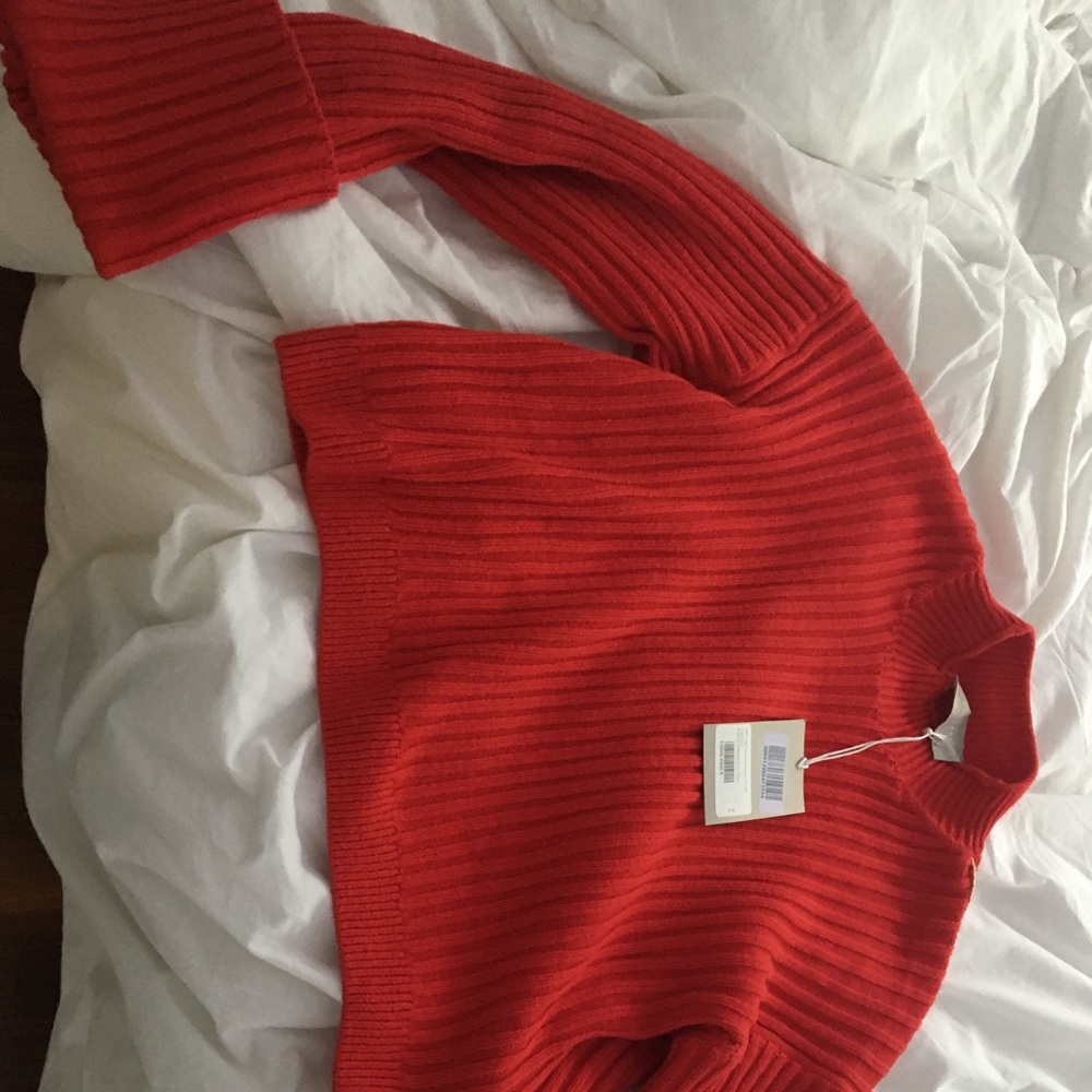 NWT Everlane 100% Cotton sweater